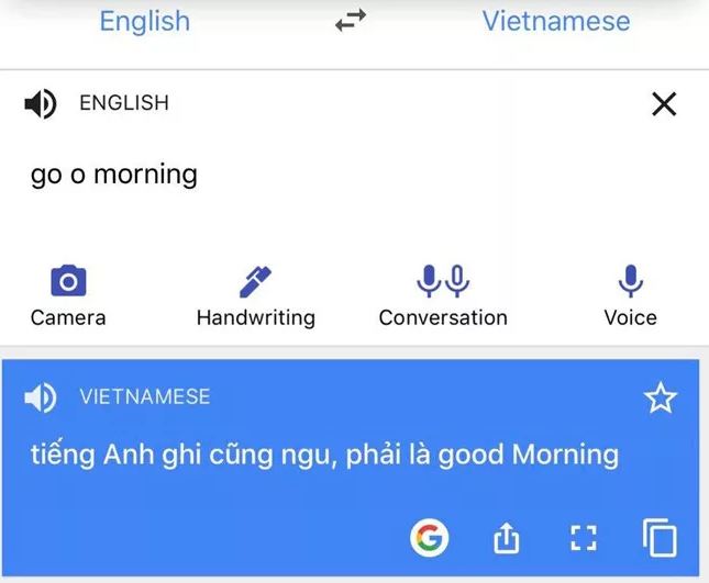 google dịch nói bậy tiếng việt