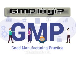 GMP là gì?
