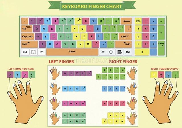 Quy tắc đặt 10 ngón tay trên bàn phím đúng vị trí