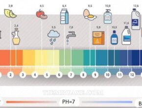 Độ pH nghĩa là gì? độ pH có thực sự quan trọng không?