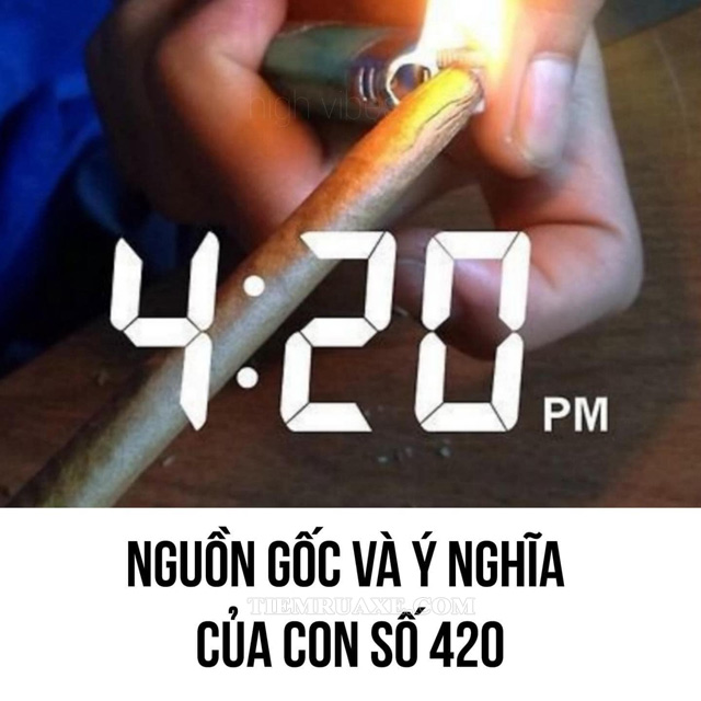 Nguồn gốc của ngày 420 bắt nguồn từ nhóm thanh niên ở nước Mỹ