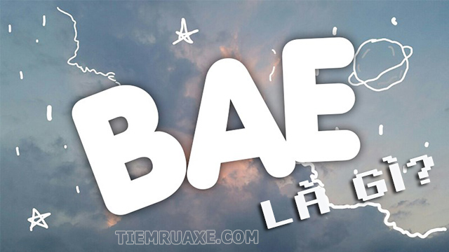 Bae nghĩa tiếng Việt là gì?