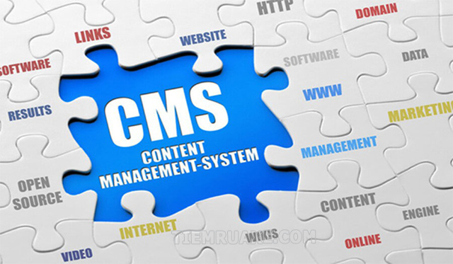 CMS nghĩa là gì? CMS viết tắt từ gì?