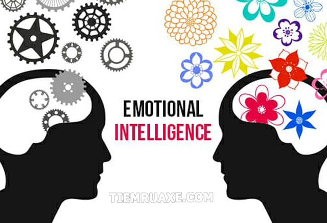 Emotional Intelligence - EI trong tiếng Anh là chỉ số về trí tuệ cảm xúc