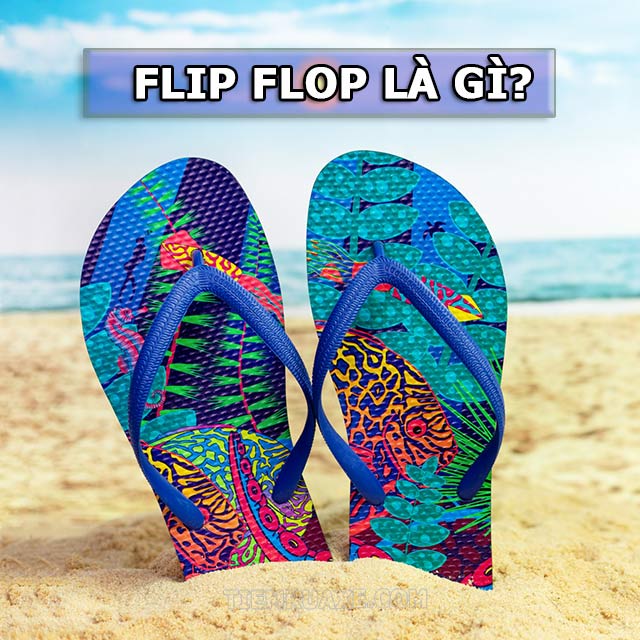 Flip Flop có nhiều ý nghĩa khác nhau tùy vào hoàn cảnh sử dụng