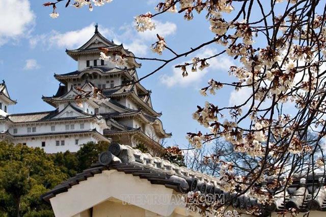 Cung điện Himeji - lâu đài hạc trắng đẹp nổi tiếng của Tokyo