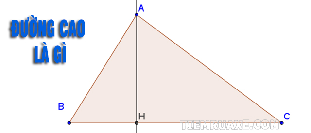 Đường cao là gì? Thế nào là đường cao trong tam giác?