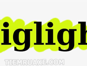 Highlight có nghĩa là gì?