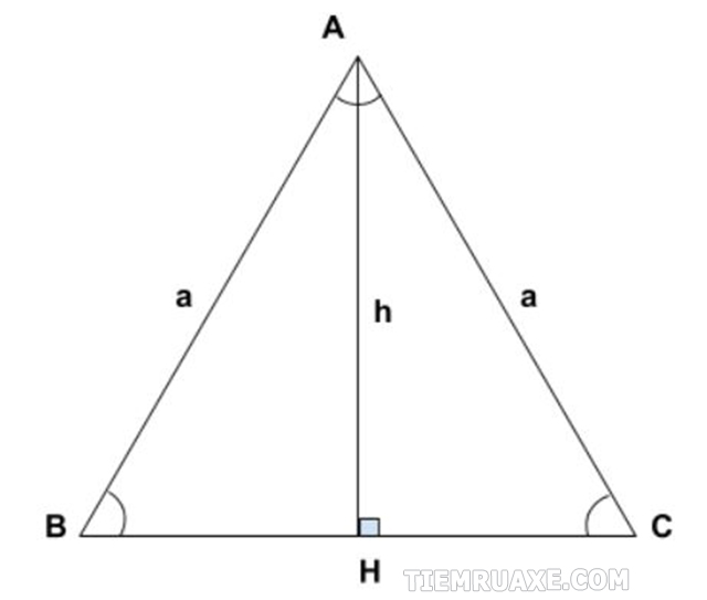 Tính chất đường cao của tam giác đều là gì?