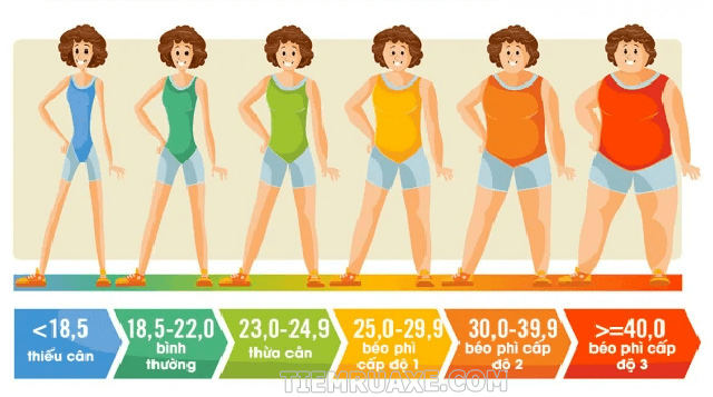 Chỉ số BMI dành cho người châu Á theo thang phân loại của IDI và WPRO