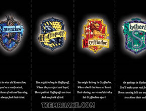 Biểu tượng các nhà trong Harry Potter? Bạn thuộc nhà nào?