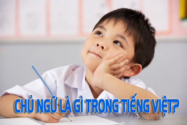Chủ ngữ trong tiếng Việt là gì? Chủ ngữ là gì lớp 4?