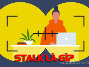 Stalk nghĩa là gì? Stalk là gì trong tiếng Anh?