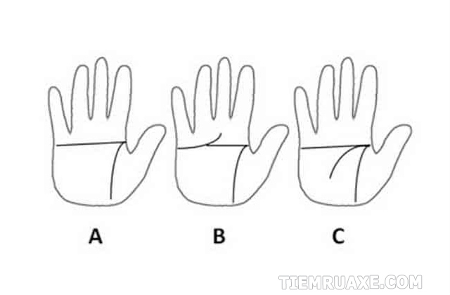 Các kiểu bàn tay chữ nhất thường gặp nhất