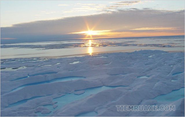 Hình ảnh đường chân trời ở Bắc Cực