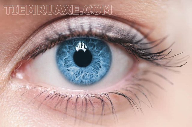 Theo khoa học, mắt biếc là do số lượng melanin bị thiếu hụt ở tròng mắt