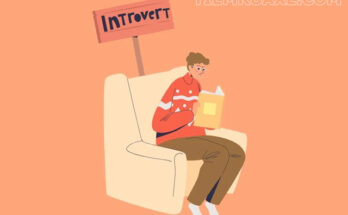 Introvert là kiểu tính cách chiếm 40% dân số thế giới